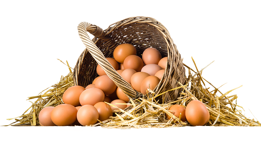 https://www.yolkeggs.co.uk/wp-content/uploads/2022/10/Eggs-basket-transparent.png